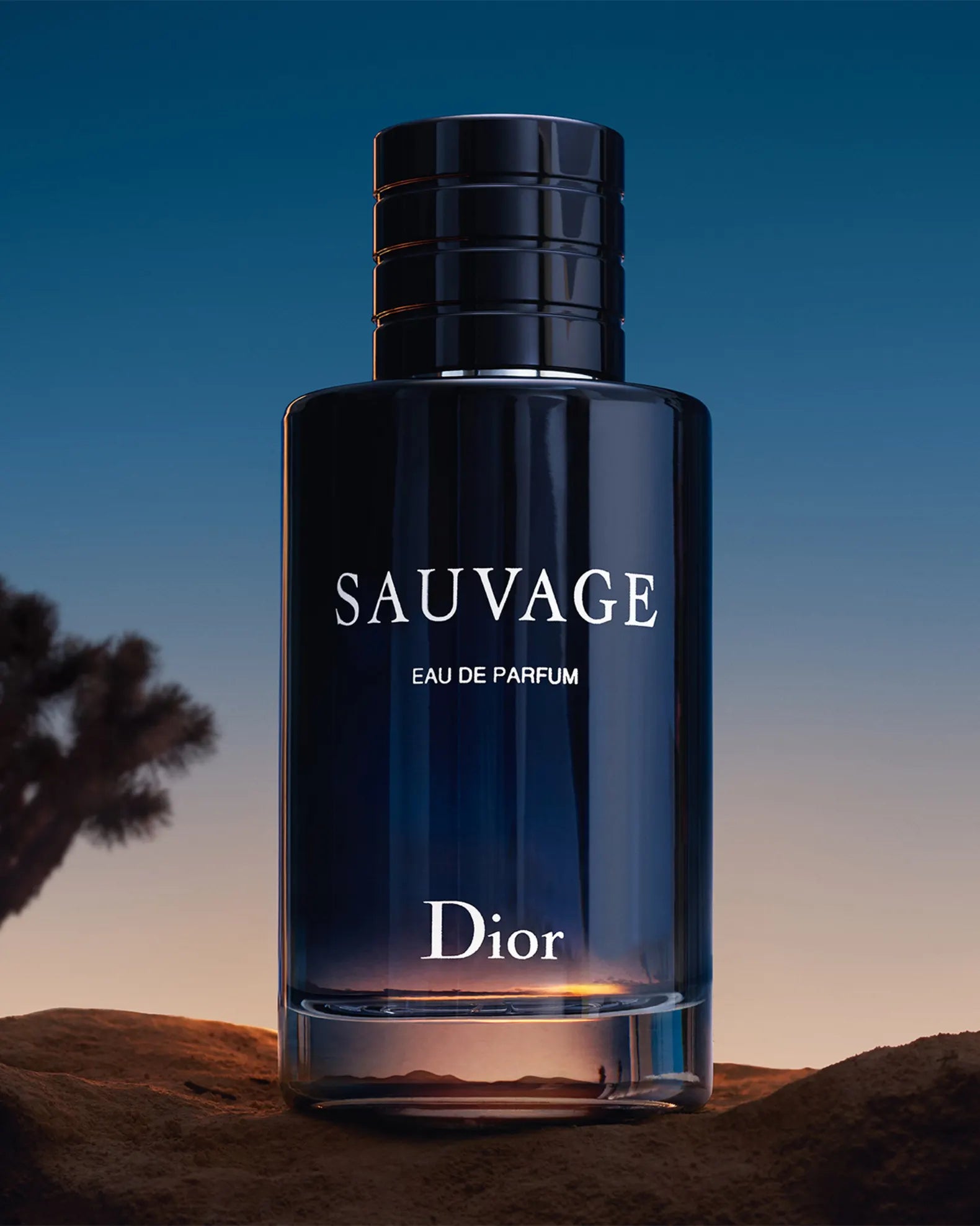 Dior Sauvage EDP - Scents4Centz