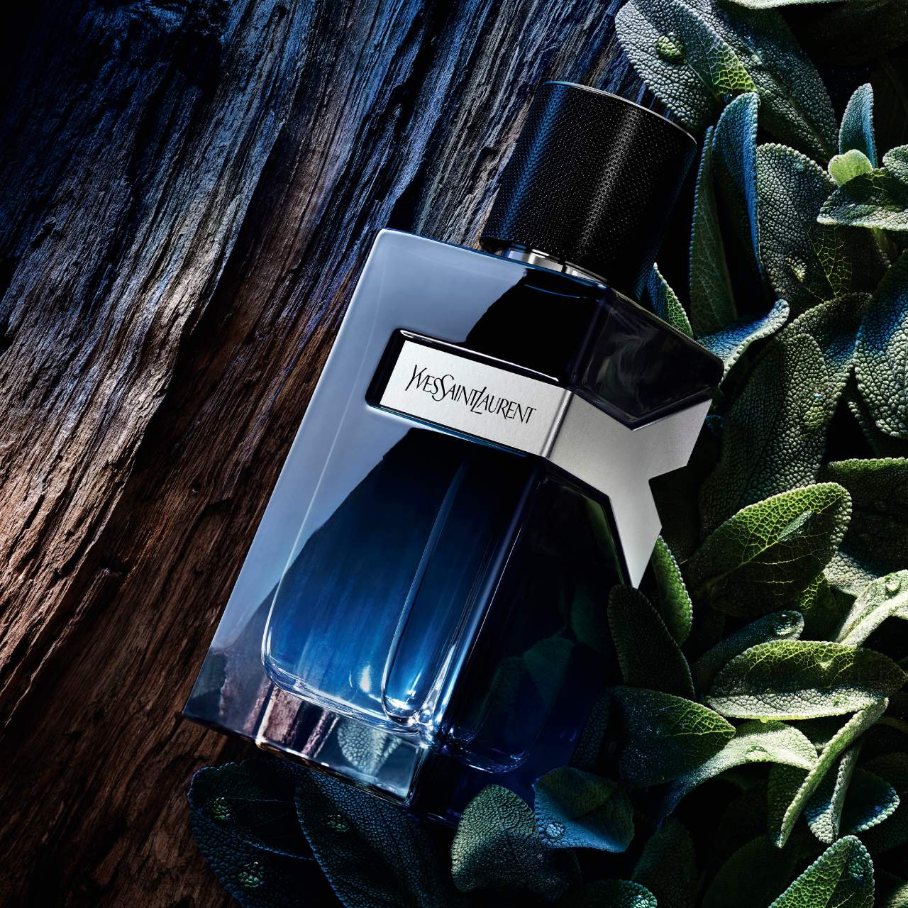YSL Y Eau De Parfum - Scents4Centz